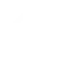 icon home